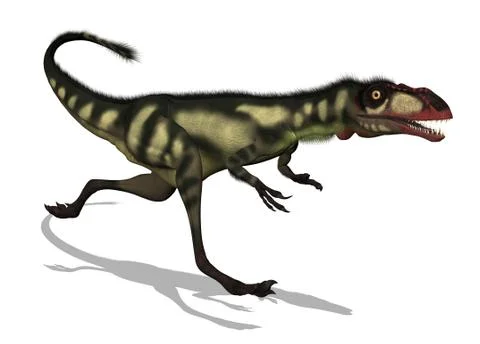 Dilong Dinosaur Stock Illustration