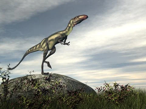 Dilong dinosaur on a rock - 3D render Stock Illustration