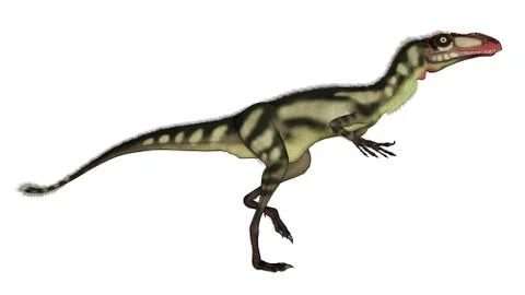 Dilong dinosaur walking - 3D render Stock Illustration