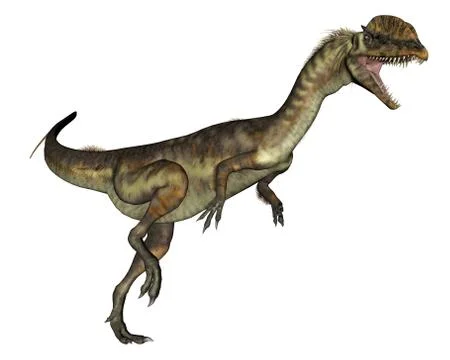 Dilophosaurus dinosaur roaring - 3D render Stock Illustration