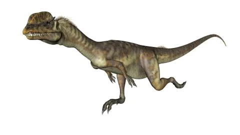 Dilophosaurus dinosaur running - 3D render Stock Illustration