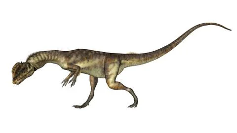 Dilophosaurus dinosaur walking head down - 3D render Stock Illustration
