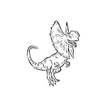 Dilophosaurus illustration Stock Illustration