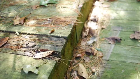 Dilpidated Deck Series - Old Deck Boards on Dilapidated Deck 2 Stock Footage 346982945