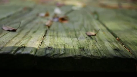 Dilpidated Deck Series - Old Rotting Deck Boards Video stock 346982959
