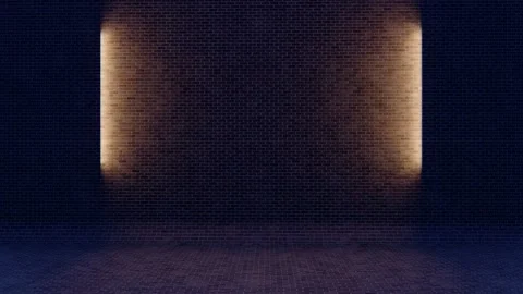 Dim Brick Wall with Red Hue Stock Footage 319884448