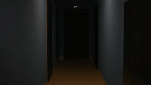 Dim hallway in a building at night. The corridor has closed doors on both sides Vidéo 336778439
