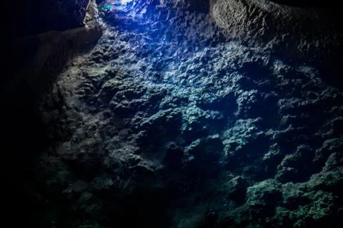 The dim reflection of the Blue Spring and the edge of the path Stock Photos