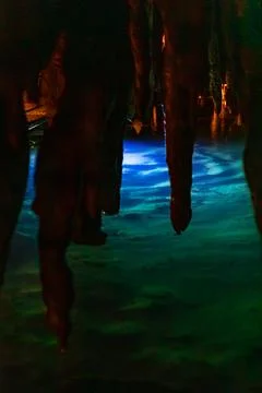 The dim reflection of the Blue Spring and the edge of the path Stock Photos