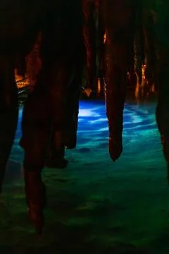 The dim reflection of the Blue Spring and the edge of the path Stock Photos