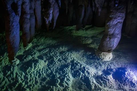 The dim reflection of the Blue Spring and the edge of the path Stock Photos