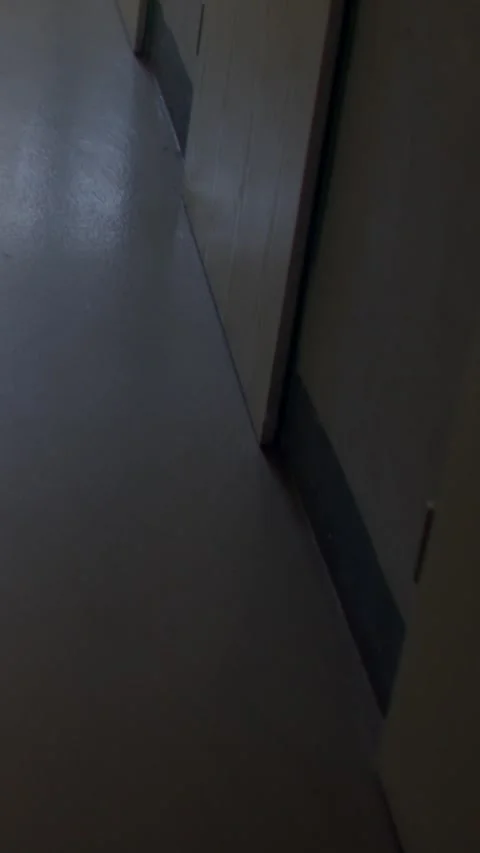 Dim school corridor with closed classroom doors and worn linoleum Stock Footage 348900270