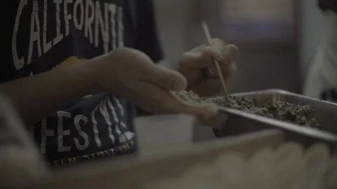 Dim sum making Stock Footage 85814391