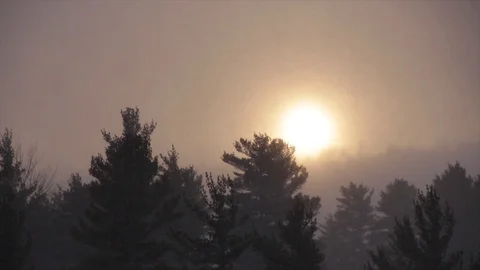 Dim sun in snowstorm Stock Footage 100137502