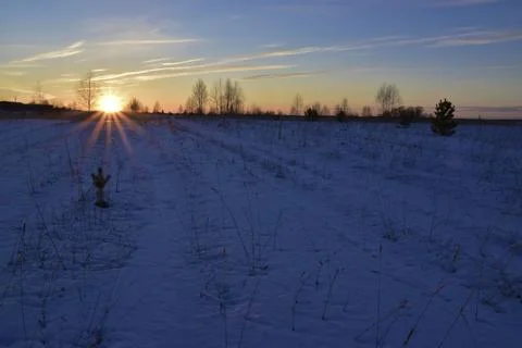 The dim winter sun sets over the horizon on an endless snow-covered field Stock Photos