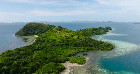 Dimanglet Island in Coron, Palawan. Philippines. Stock Footage 324729148