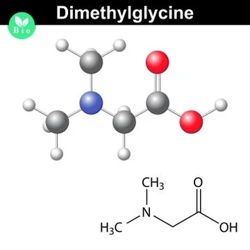 Dimethylglycine model and molecular structure Stock Illustration