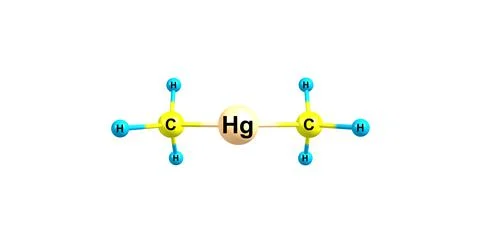 Dimethylmercury molecular structure on white background Stock Illustration