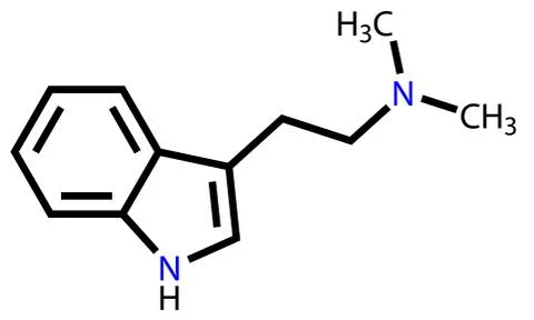 Dimethyltryptamine structural formula Stock Illustration