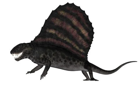 Dimetrodon dinosaur - 3D render Stock Illustration