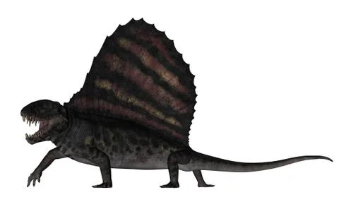 Dimetrodon dinosaur - 3D render Stock Illustration