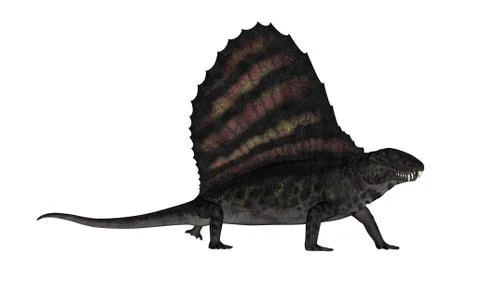 Dimetrodon dinosaur - 3D render Stock Illustration