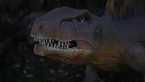 Dimetrodon moves his head in different directions. It looks like a reptile, it Stock Footage 280025846