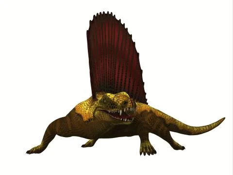 Dimetrodon reptile, front view. Stock Illustration