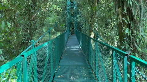 Diminishing perspective of a bridge  Stock-Footage 239761804