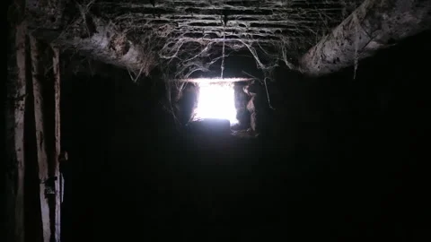 A dimly lit, abandoned barn Stock Footage 306043017