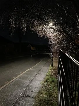 Dimly Lit Night Pathway with Trees and Fence Stock Photos