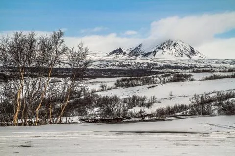 Dimmuborgir, a large area  lava fields, east of Myvatn, Iceland Stock Photos