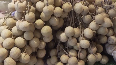 Dimocarpus longan fruit Stock Footage 99222114