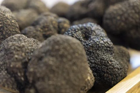 Dimples on Black Tuffles Stock Photos