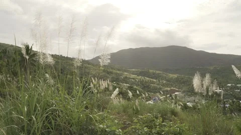 Dinagat Island Stock Footage 229649582