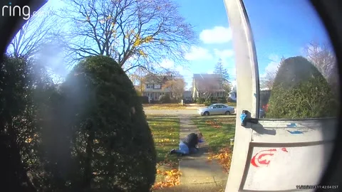 Ding-Dong Ditcher Faceplant Fail, East Rockaway, New York, USA - 27 Nov 2023 Stock Footage 258360766