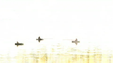 Dingeys  in the fog Stock-Footage 535562