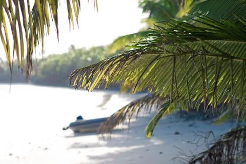 Dinghy on the beach. Stock Photos