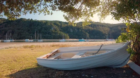 A dinghy pulled up on the shoreline Stock Footage 126731612