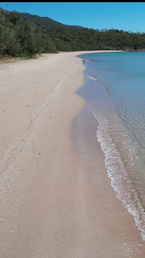 Dingo Beach 4K Stock Footage 242734186