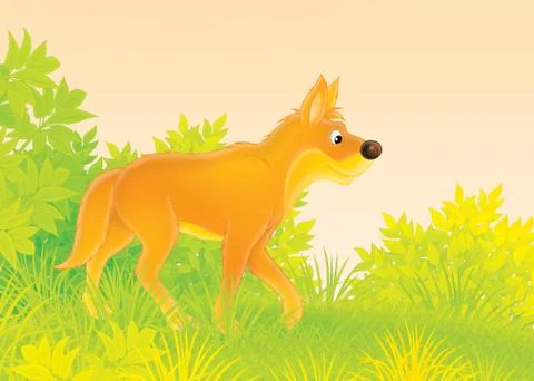 Dingo Stock Illustration
