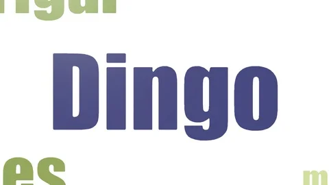 Dingo Wordcloud Animated Isolated Video stock 107233825