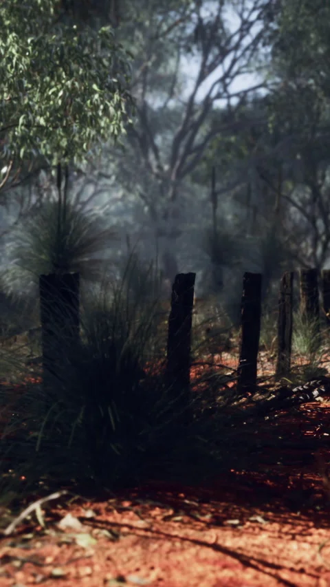 Dingoe fence in the Australian Outback Stock Footage 304513764