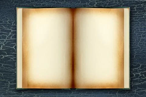 Dingy grunge book with copyspace Stock Illustration