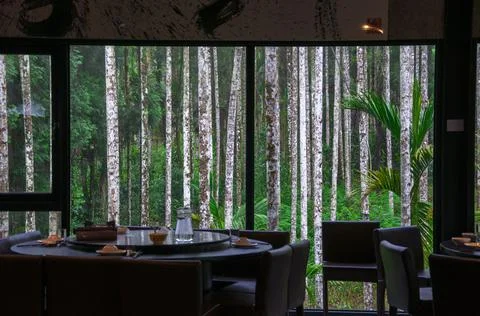 Dining room, floor-to-ceiling windows, woods, view, dining table Stock Photos