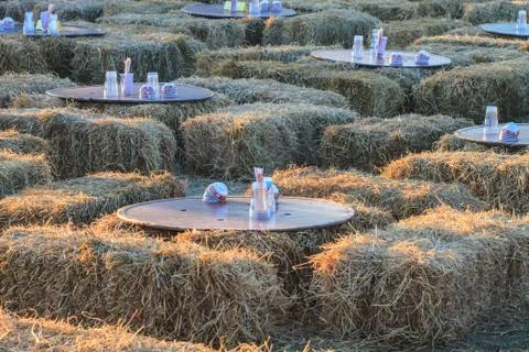 Dining  table set outdoor 스톡 사진