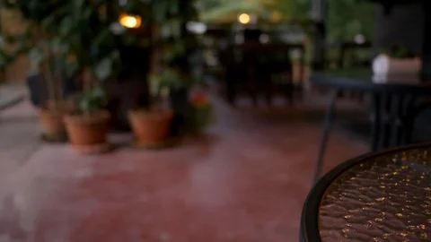 Dining table with small cactus Stock Footage 97692391