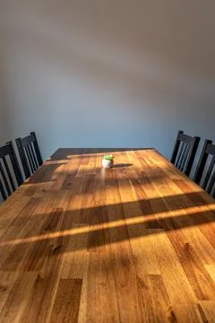 Dining table with succulent in sunlight. Vertical interior with large copy .. Stock Photos