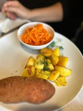 Dinner dish Stock Photos