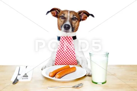 Dinner meal at table dog Stock Illustration